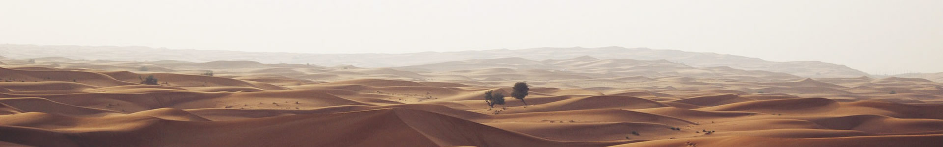 ī}ỷƼ޹˾